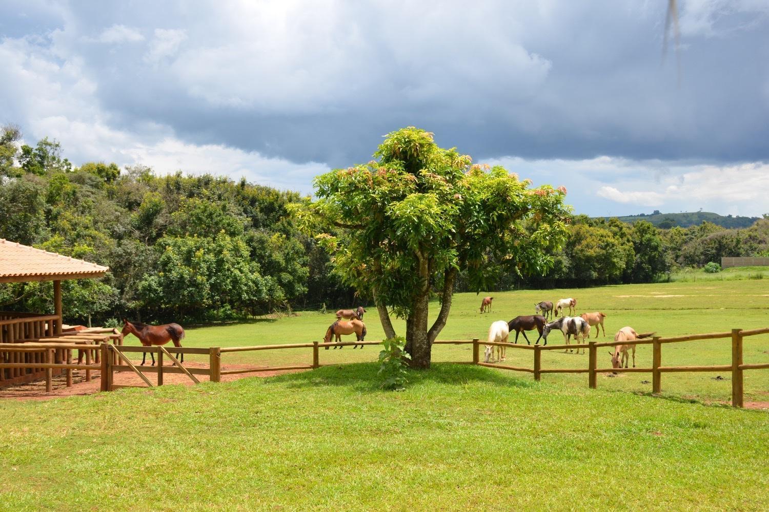 Farm stay Ek Franca